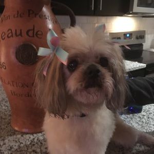 Meet your Posher, Danielle